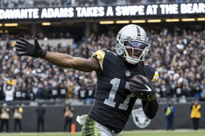 davante adams takes a swipe at the bears